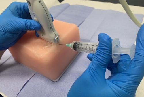 Demonstrating ultrasound-guided injection therapy on a phantom
